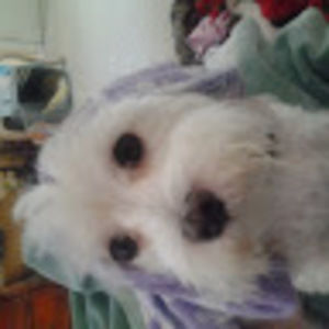 Meet your Posher, Cinda